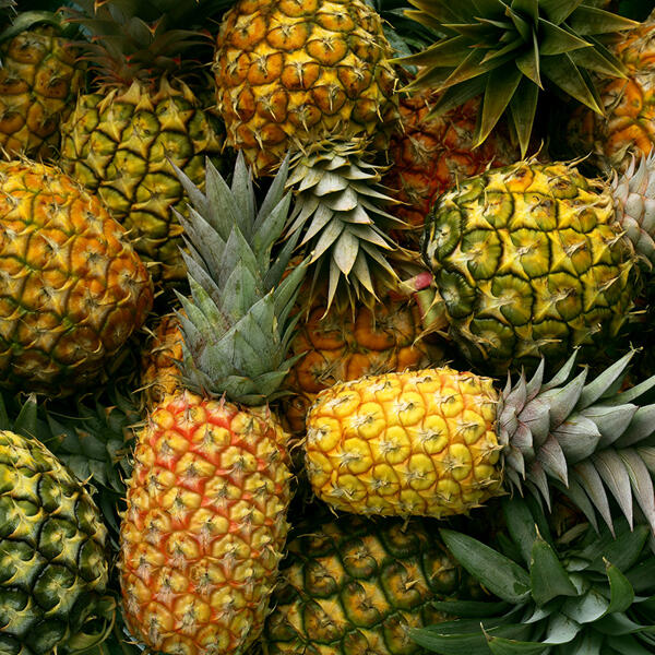 Ananas