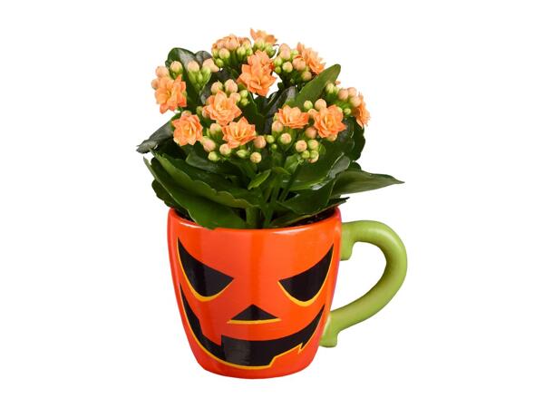 Mini Halloween Planter