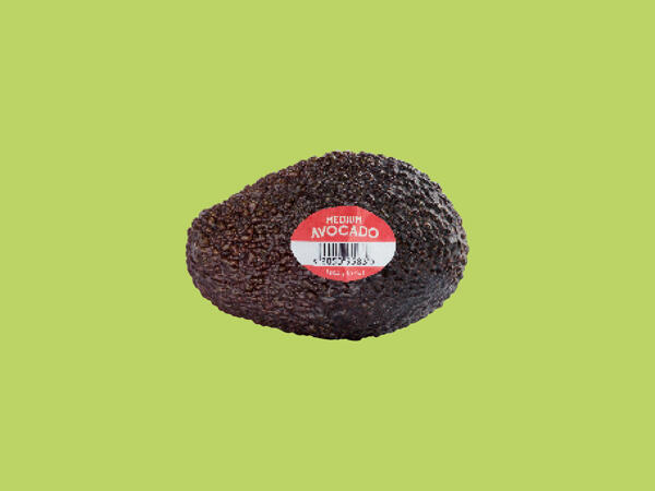 Medium Avocado