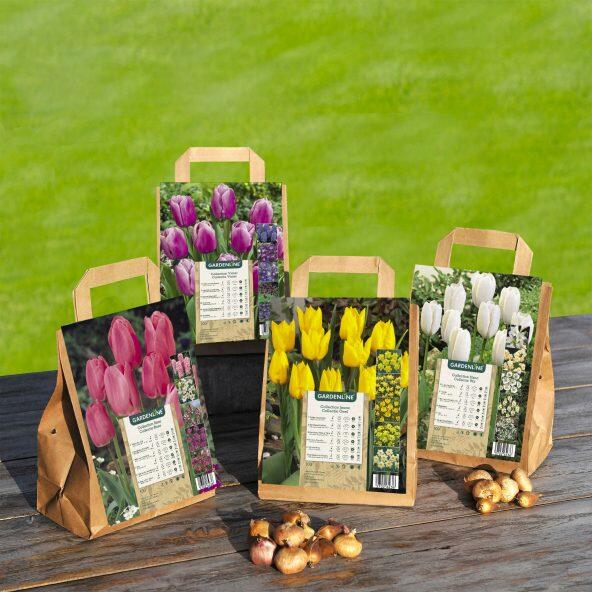 GARDENLINE(R) 				Blumenzwiebeln