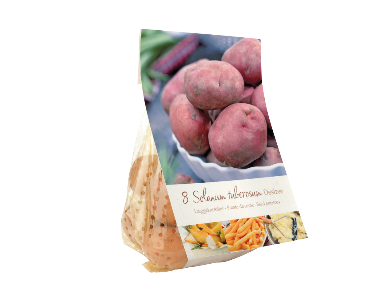Seed Potatoes1