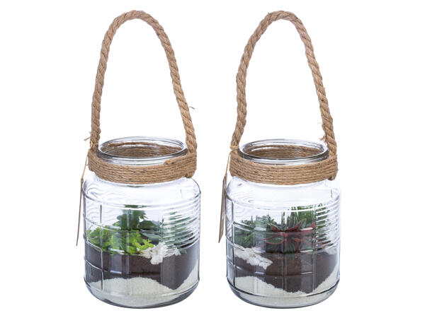 Mini Garten im Glas