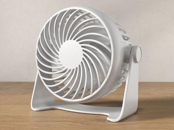 Portable Fan