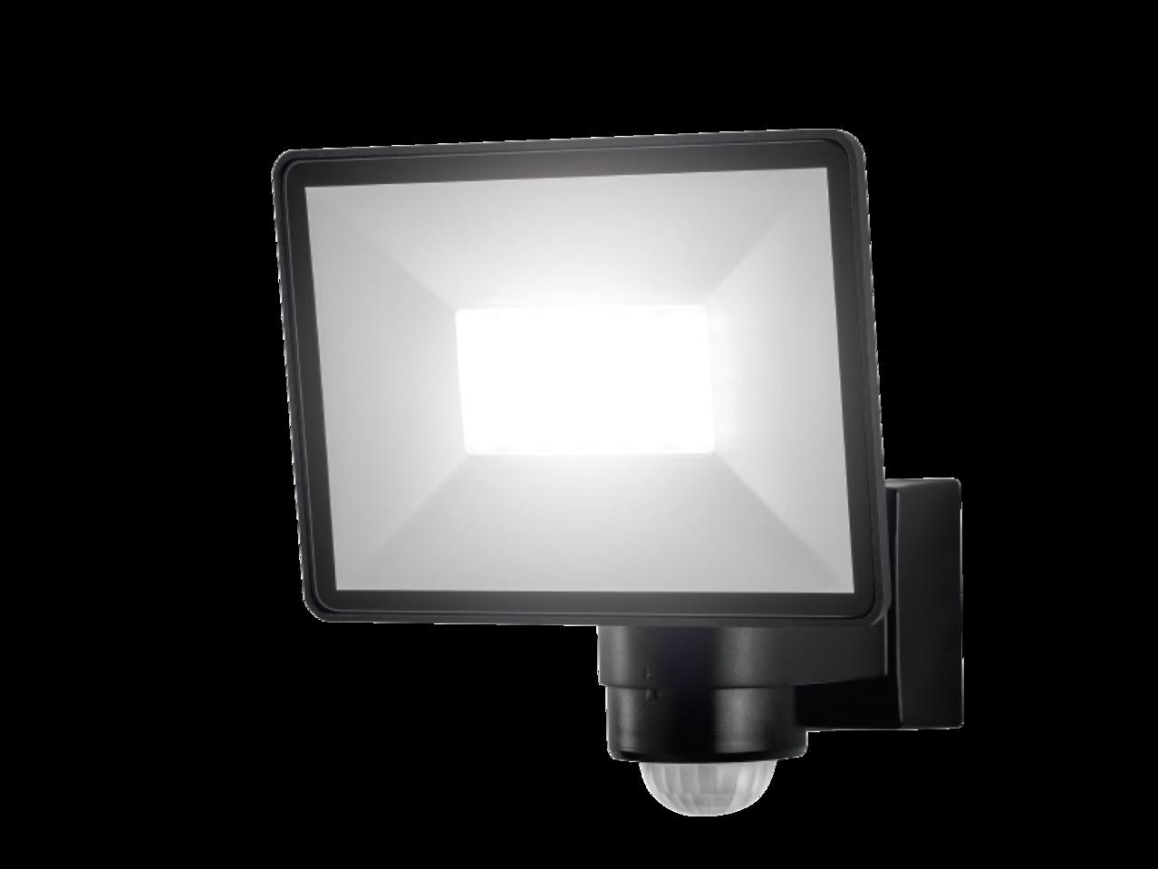 LIVARNO LUX LED 30W Outdoor Light