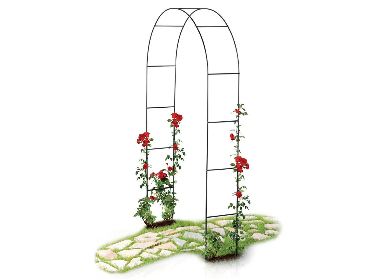 FLORABEST(R) Rosenbogen