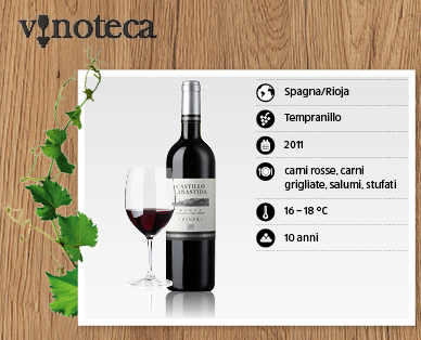 Crianza Rioja DOCa CASTILLO LABASTIDA