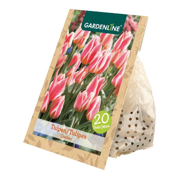 GARDENLINE(R) Tulpenzwiebeln, 20 St.