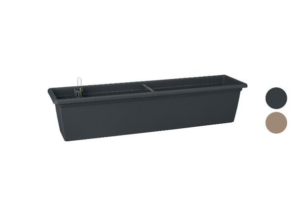 Samozavlažovací truhlík Winchester, 80 cm