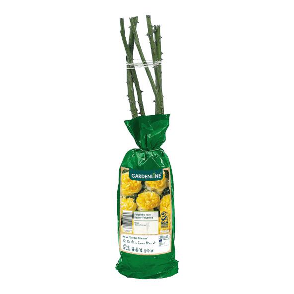 GARDENLINE(R) 	 				Rosiers ou plantes avec racines