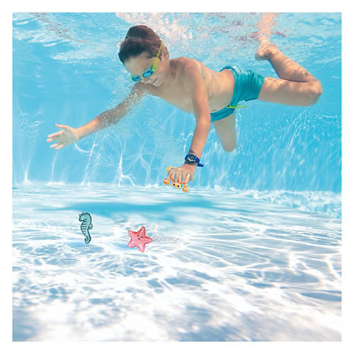 3 Piece Sea Animals Shaped Neoprene Dive Toys