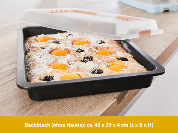 Zenker(R) Kuchen-Container