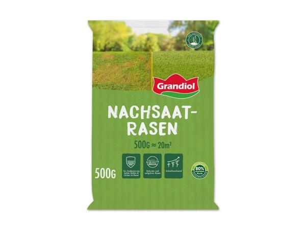 Nachsaatrasen