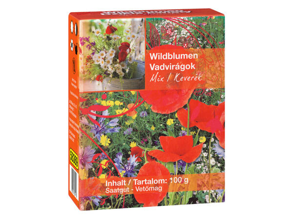 Wild- und Sommerblumenmischung