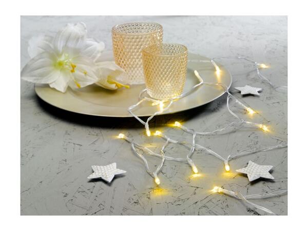 Livarno Home 20 LED String Lights