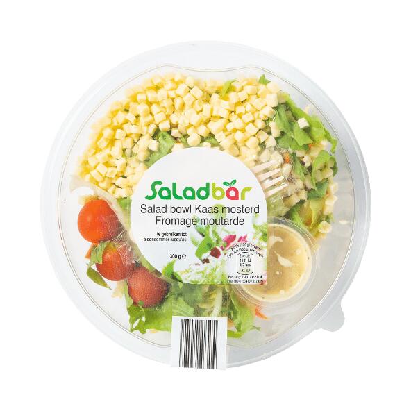 Salade-repas