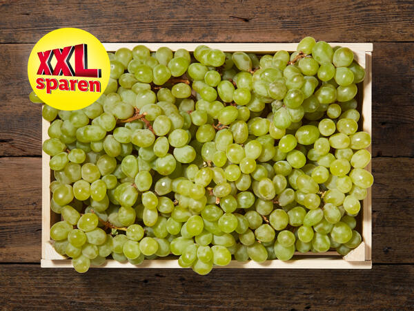 Trauben hell XXL