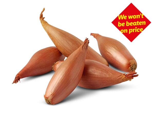 Deluxe Echalion Shallots