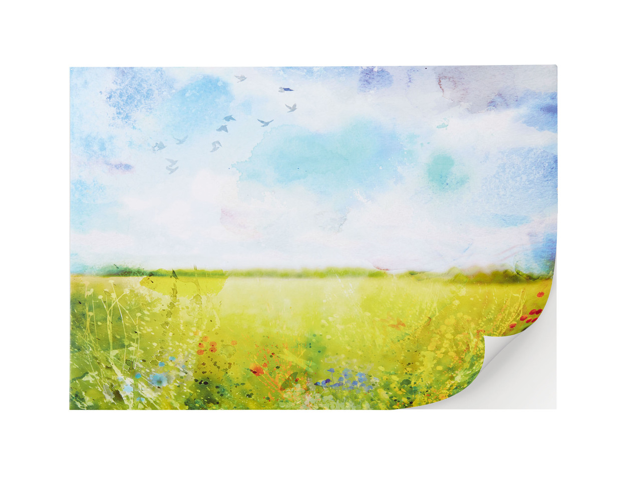 Canvas Sketch Pad