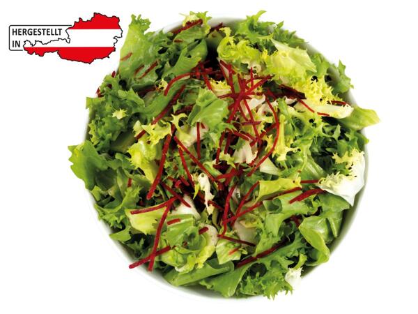 Gourmet Salat