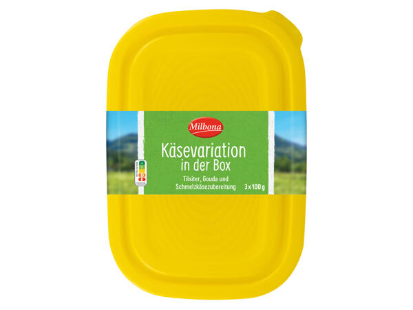 Jausenbox mit Käse
