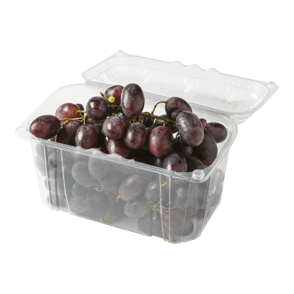 Raisins noirs