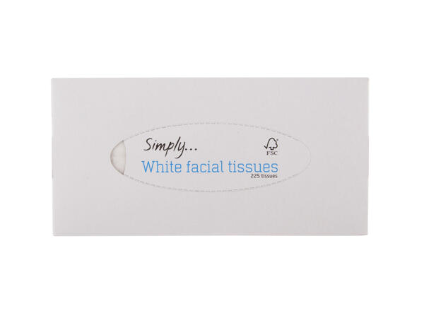 White Facial Tissues 2 Ply