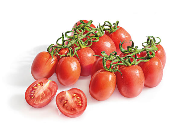 Piccadilly tomato