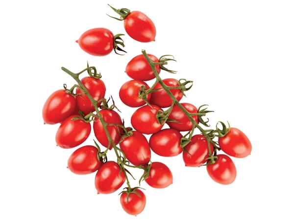 Piccadilly Tomatoes