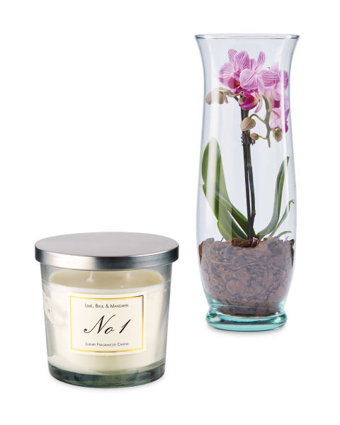 Orchid & Candle Gift Bag Lime