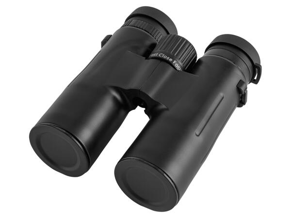 Binoculars 10x42
