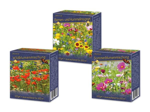 Blumensamenmischung