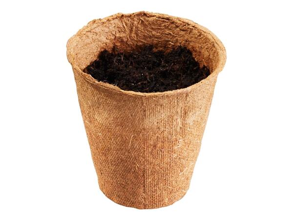 Organic propagation kit