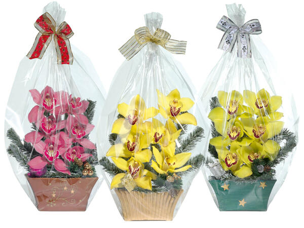 Weihnachtsgesteck 6 Blüten