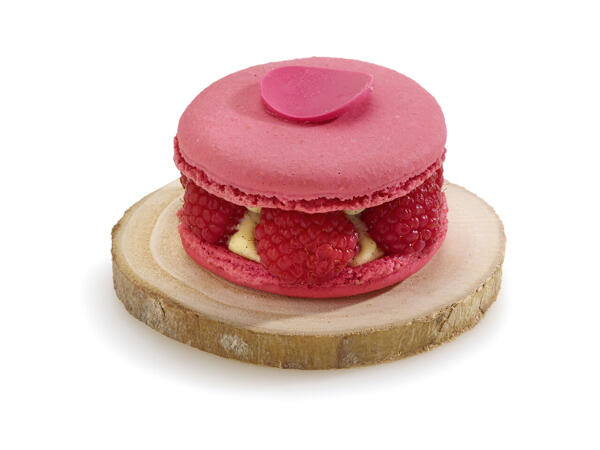 Macaron XL