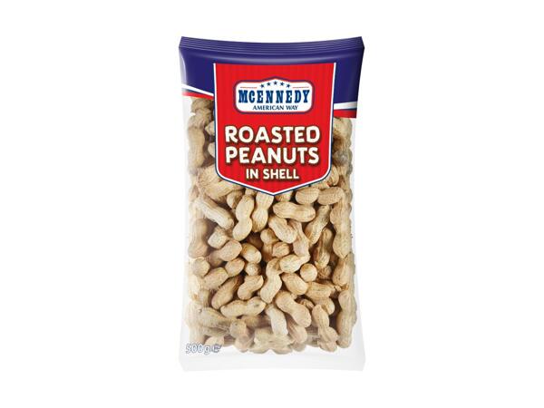 Cacahuètes grillées non décortiquées
