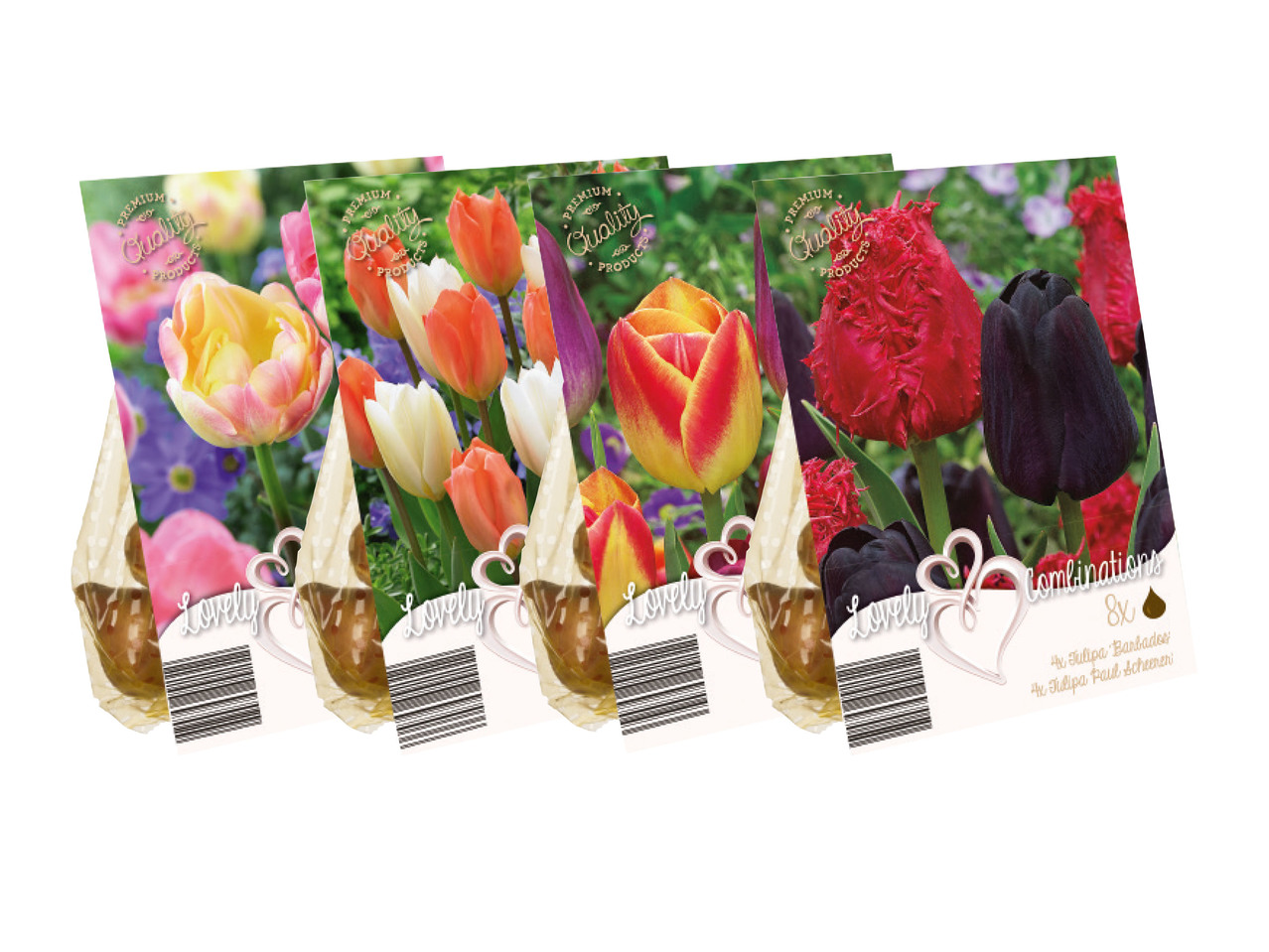 Blomlökar färgmix1