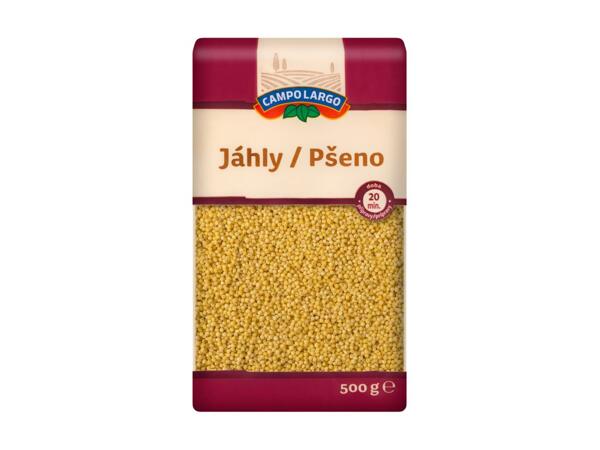 CIZRNA/ JÁHLY