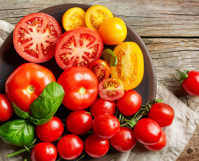 ZURÜCK ZUM URSPRUNG Österreichische Bio-Tomatenrarität
