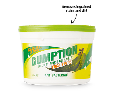 Gumption Multi-Purpose Cleanser 500g