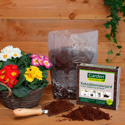Kokosblomsterjord
