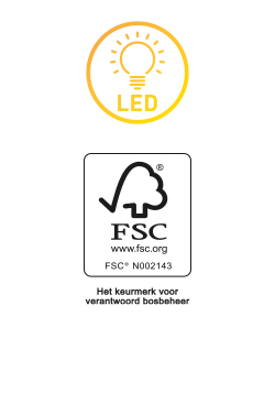 Houten ledfiguur