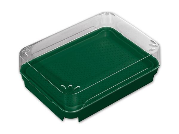 Bio-Anzuchtset