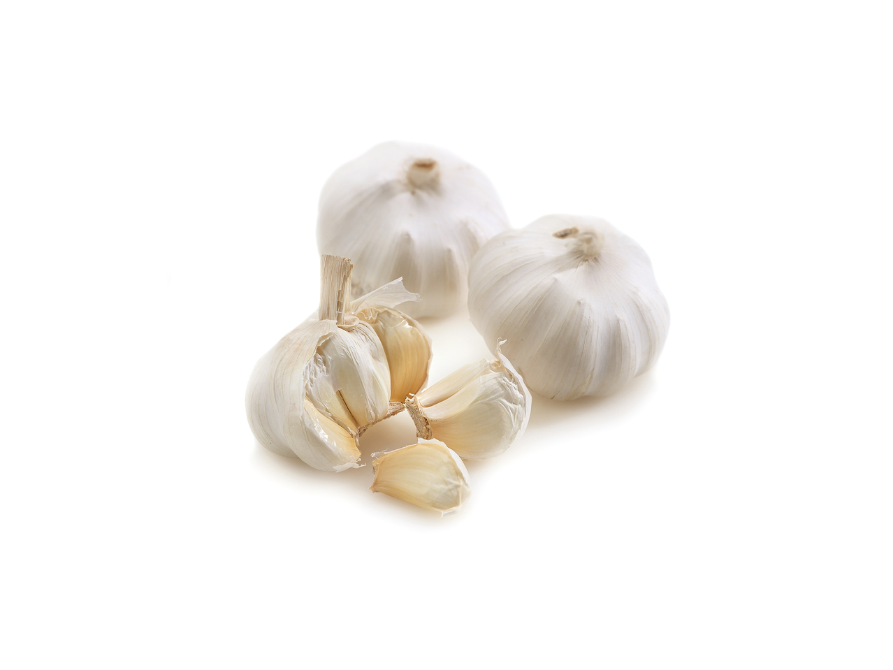 Knoflook