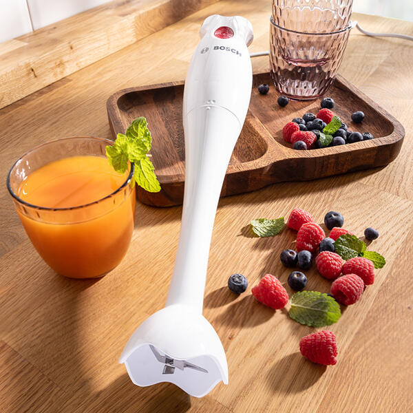Stabmixer