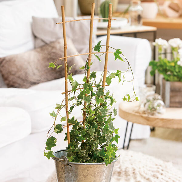 Blumenstütze
