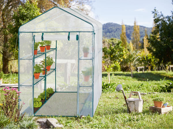 Greenhouse