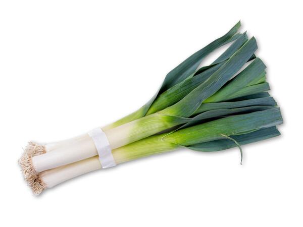 Danske porrer