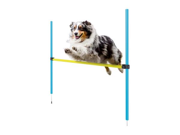 Zoofari Dog Agility Hurdle - 5 Pieces