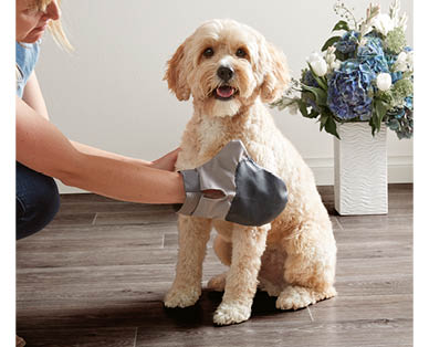 Dog Grooming Accessories