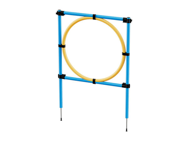 Zoofari Dog Agility Set